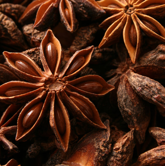 Sternanis als Weihnachtsgewürz