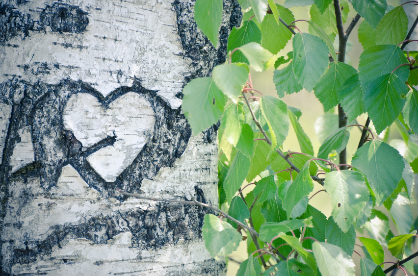 Die schönsten Liebeszitate und Liebessprüche