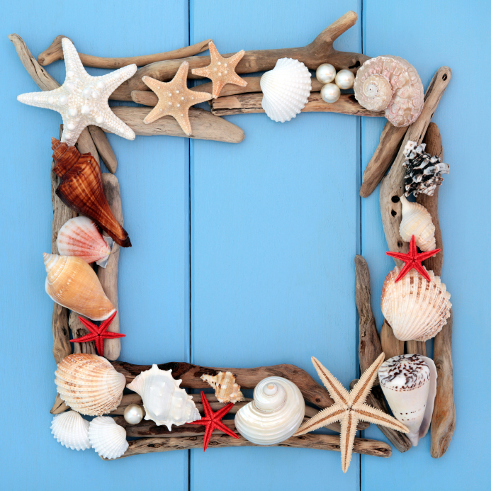 Bilderrahmen mit Muscheln aus dem Urlaub verschönern