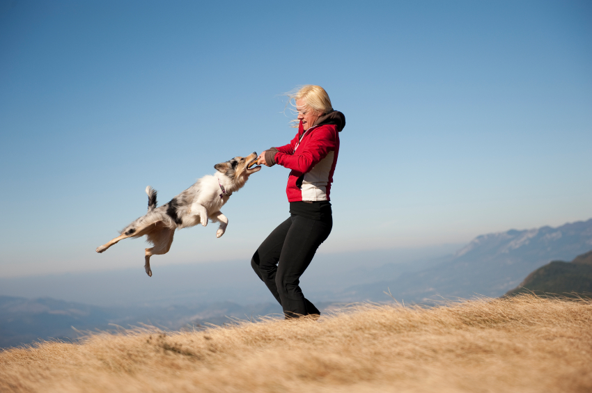 Hund beim Toben mit Frauchen