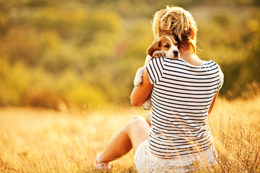 Hundefoto für Grußkarte