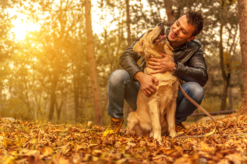 Hund im warmen Licht mit Herrchen