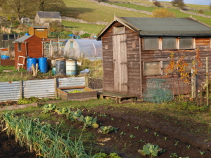 Preise für einen Schrebergarten
