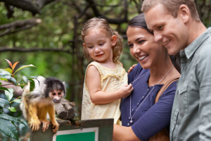 Familienausflug in den Zoo