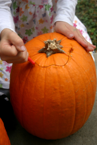 kuerbisdeckel abschneiden