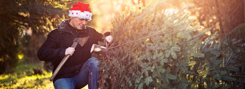 Weihnachtsbaum selbst schlagen: Adventlicher Familienausflug für Groß und Klein