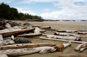 DIY-Geschenke aus Treibholz