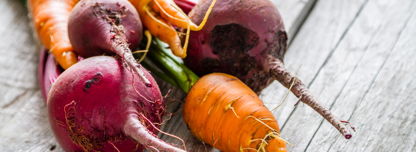 Leckeres Wintergemüse: Wärmende Rezepte mit Wirsing, Rosenkohl & Co.